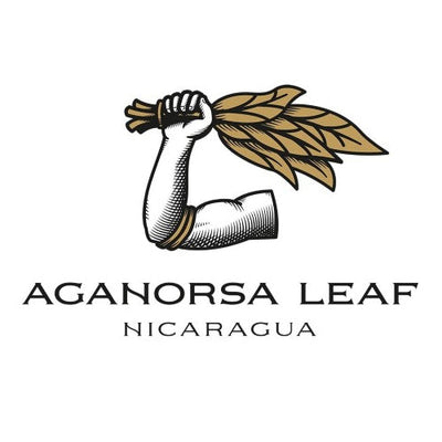 Aganorsa Nicaragua, Cigrs, Aganors cigrs, shams