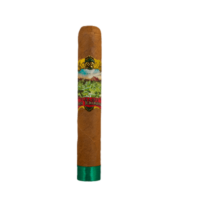 Kafie San Jeronimo Connecticut 20 Toro Cigars (Single Cigar) - Shams Shopping Centre Aganorsa