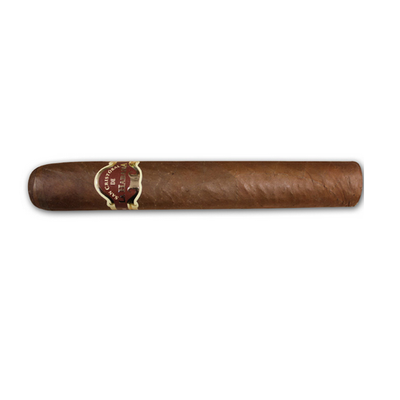 San Cristobal La Feurza 25 Cigars (Single Cigar) - Shams Shopping Centre San Cristobal