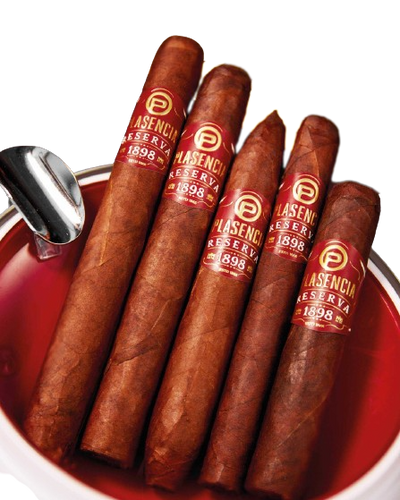 Plasencia Reserva 1898 Sampler 5 Cigars (Full Box) - Shams Shopping Centre Plasencia