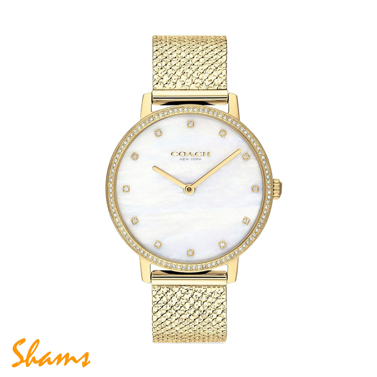 COACH WATCH 14503359 - Shams Shopping Centre Coach  