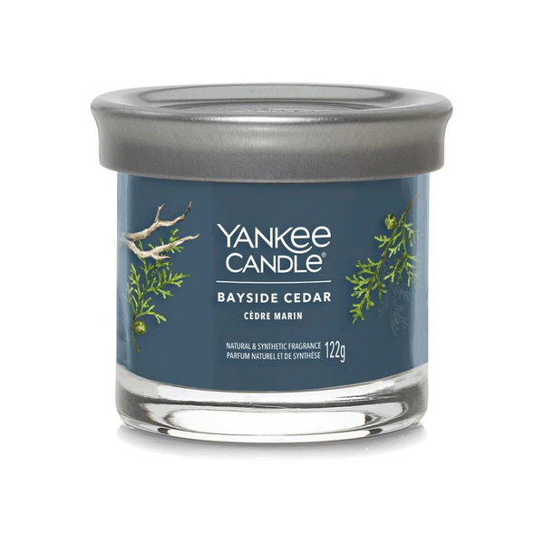 Yankee Candle Bayside Cedar Marin 122g - Shams Shopping Centre Yankee  