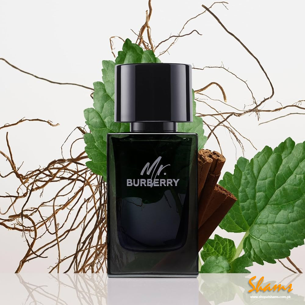 Burberry Mr. Burberry EDP 100ml - Shams Shopping Centre Burberry  