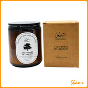 Dastaangoi Cedars Of Lebanon 8Oz Scented Candle