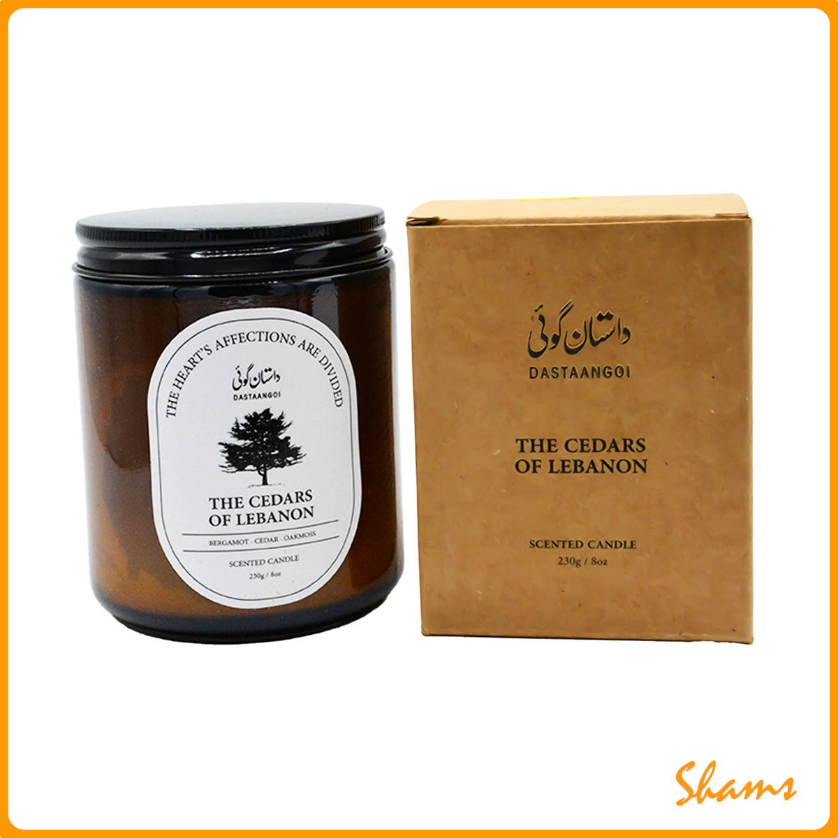 Dastaangoi Cedars Of Lebanon 8Oz Scented Candle