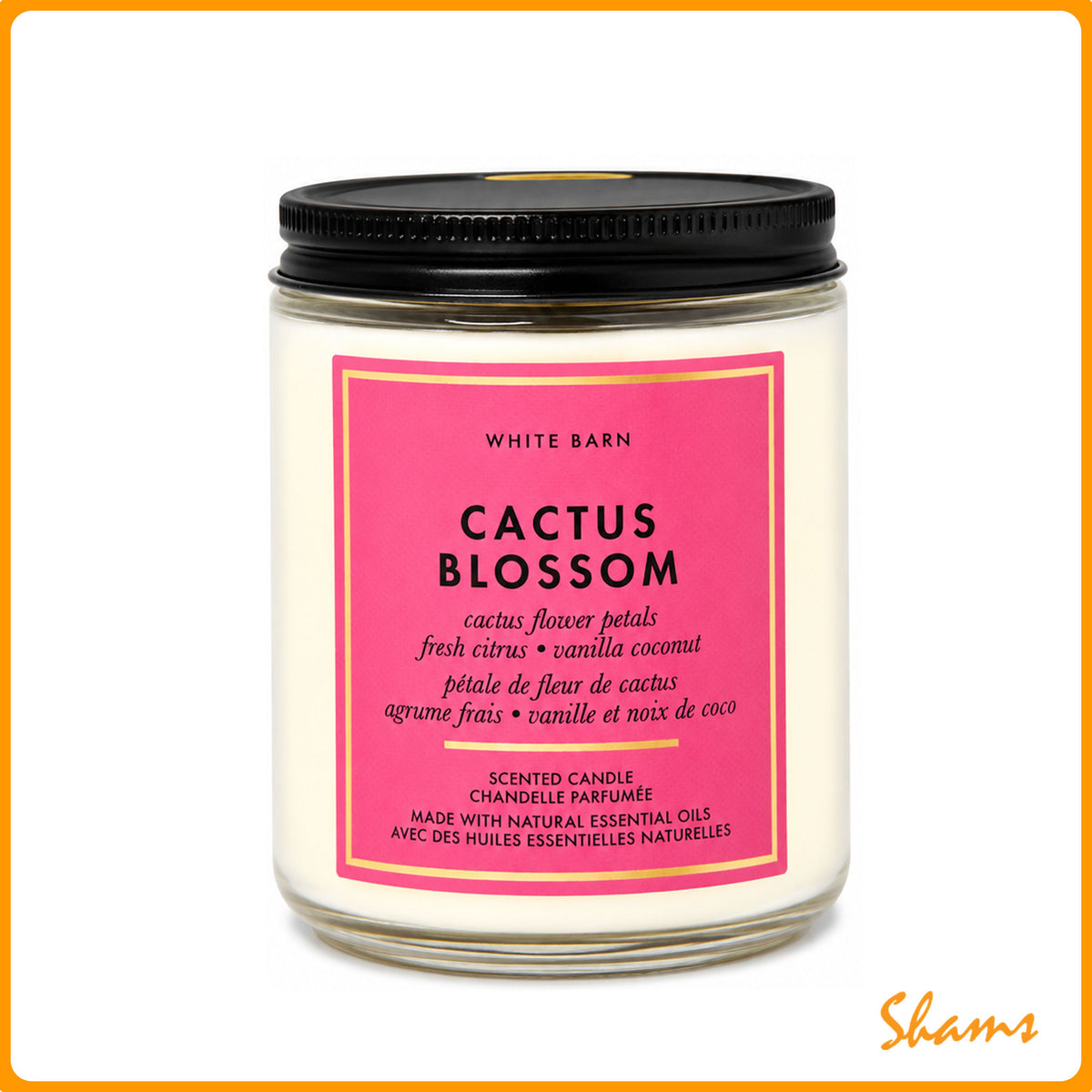 BBW White Barn Cactus Blossom Scented 1 Wick Candle