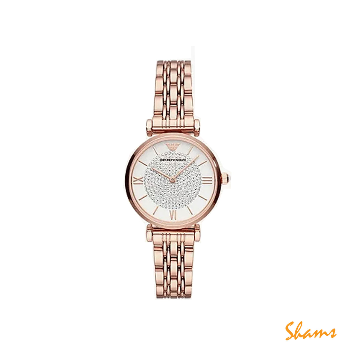 Emporio Armani Watch AR11244