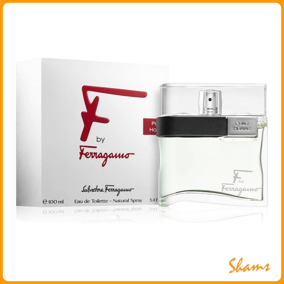 Salvatore Ferragamo F Silver Men's EDT 100ml