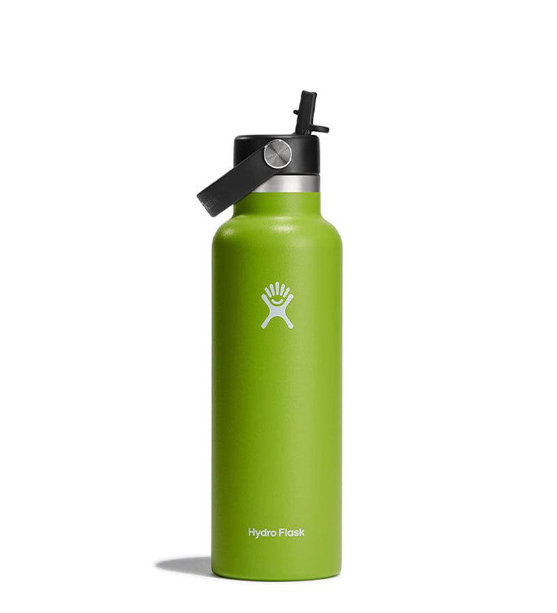 Hydro Flask 21oz Standard Flex Cap With Straw-Seagrass