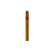 Patoro 20 GAR Corona Cigar  (Single Cigar)