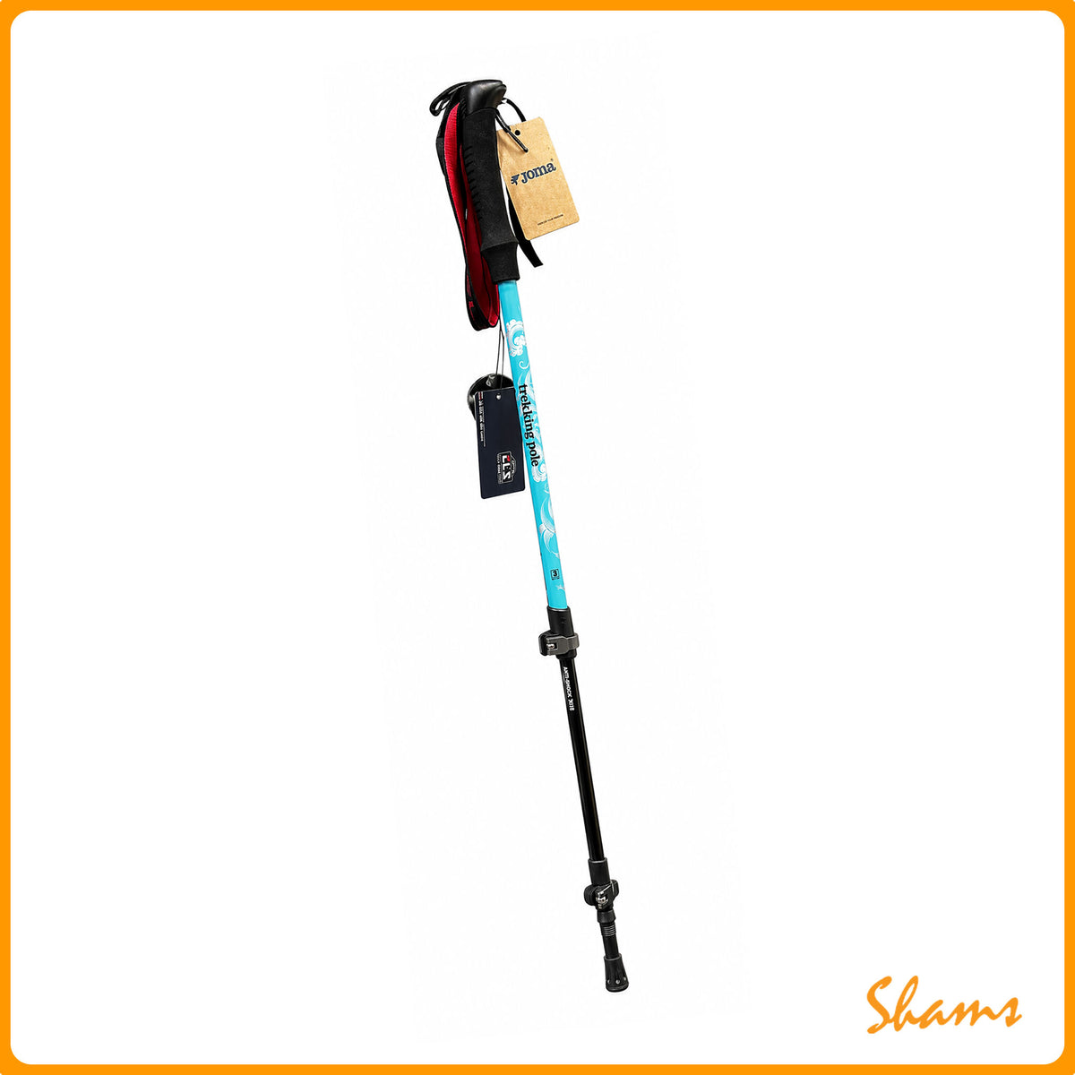 Trekking Pole-Hiking Stick