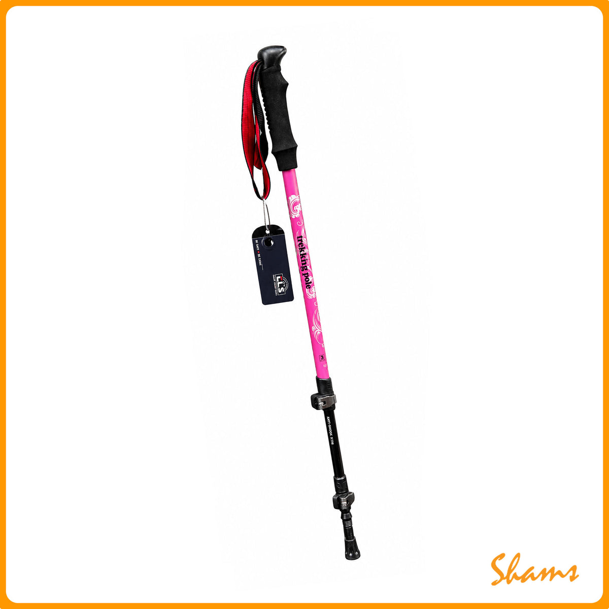 Trekking Pole-Hiking Stick