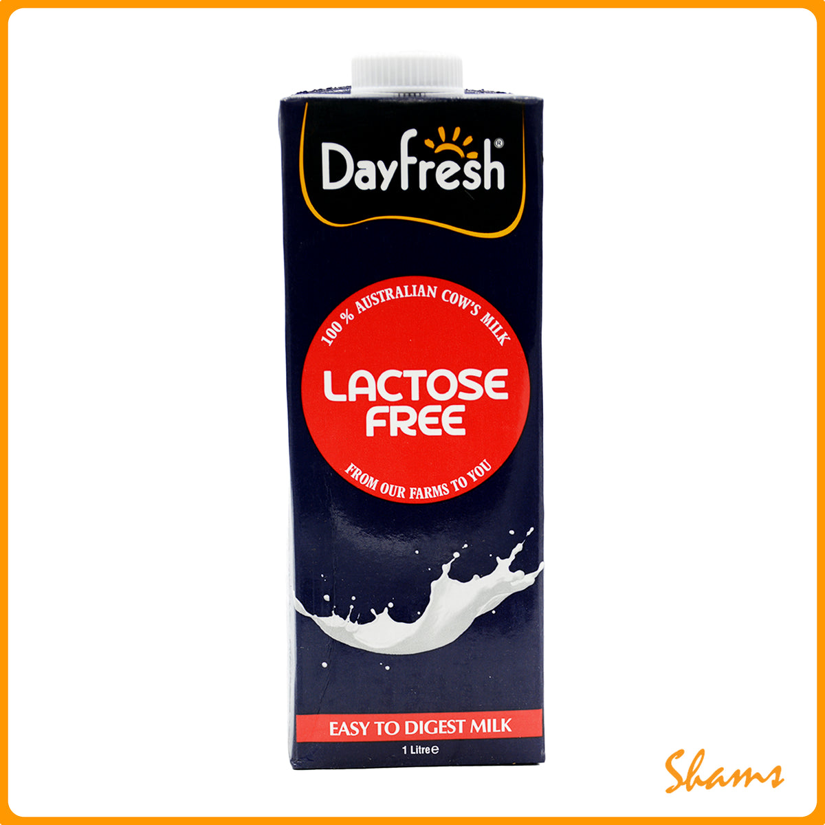 Day Fresh Lactose Free Milk 1Ltr
