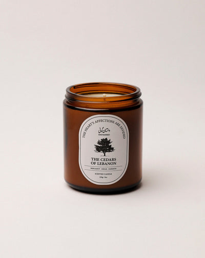 Dastaangoi Cedars Of Lebanon 8Oz Scented Candle - Shams Shopping Centre Dastaangoi  