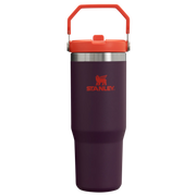 Stanley Classic Iceflow Flip Straw Tumbler 10-09993-538 Plum