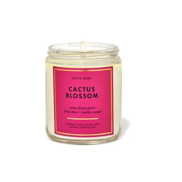 BBW White Barn Cactus Blossom Scented 1 Wick Candle