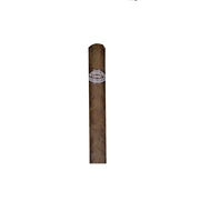Rafael Gonzalez 25 Perlas Cigar (Single Cigar) - Shams Shopping Centre Rafael Gonzalez  