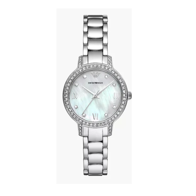 Emporio Armani Watch AR11484