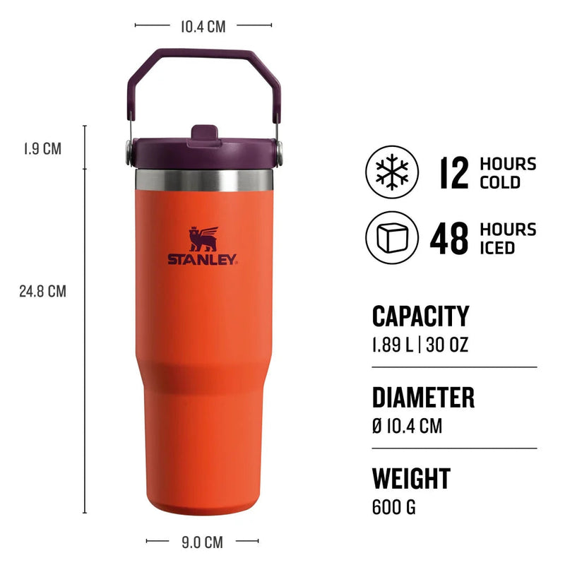 Stanley Classic Iceflow Flip Straw Tumbler 10-09993-314 Tigerlily Plum