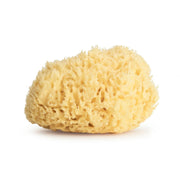 Sevin London Baby Size Honeycomb Sponge