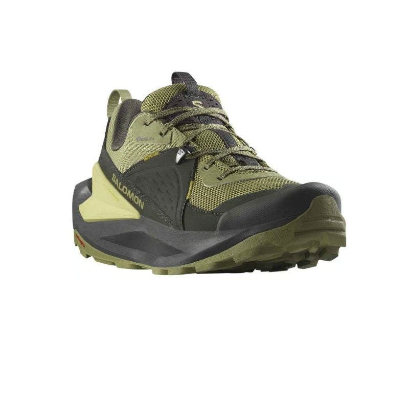 Salomon Elixir GTX Color Black/Dried Herb/Southern Moss