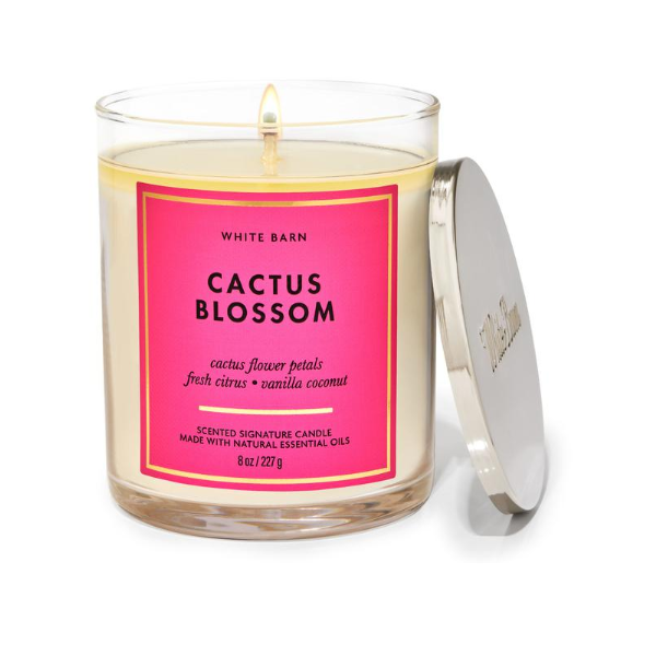 BBW Cactus Blossom Swirl 1 Wick Candle 227g