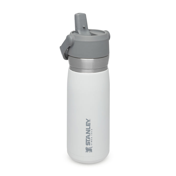 Stanley Go Flip Straw Water Bottle | 0.65L | Polar - Shams Shopping Centre Stanley  