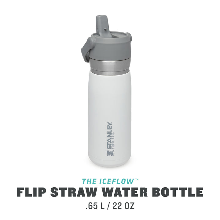 Stanley Go Flip Straw Water Bottle | 0.65L | Polar - Shams Shopping Centre Stanley  