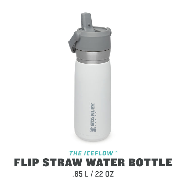 Stanley Go Flip Straw Water Bottle | 0.65L | Polar