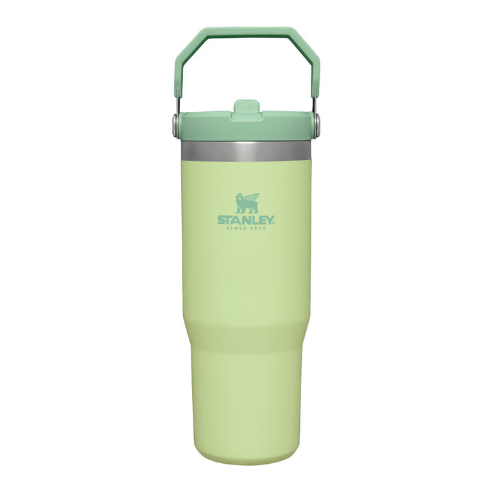 Stanley Go Flip Straw Tumbler Water Bottle 0.89L 10-09993-197 Citron - Shams Shopping Centre Stanley  