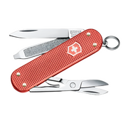 Victorinox Classic Sd Alox Limited Edition 2025 - 0.6221.L25