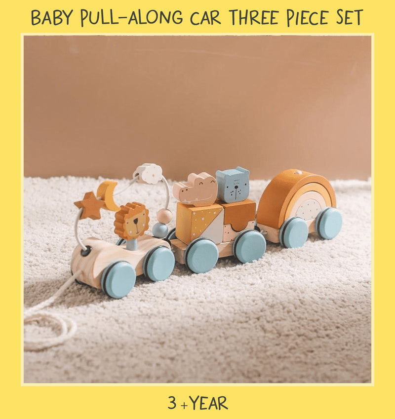 Tiny Tumble Baby Pull Along Car 3p