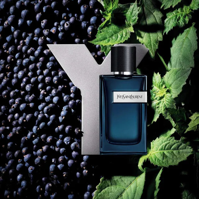 YSL Y EDP Intense 100ml - Shams Shopping Centre YSL  