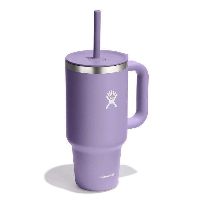 Hydro Flask 32oz All Around Travel Tumbler-Moonshadow