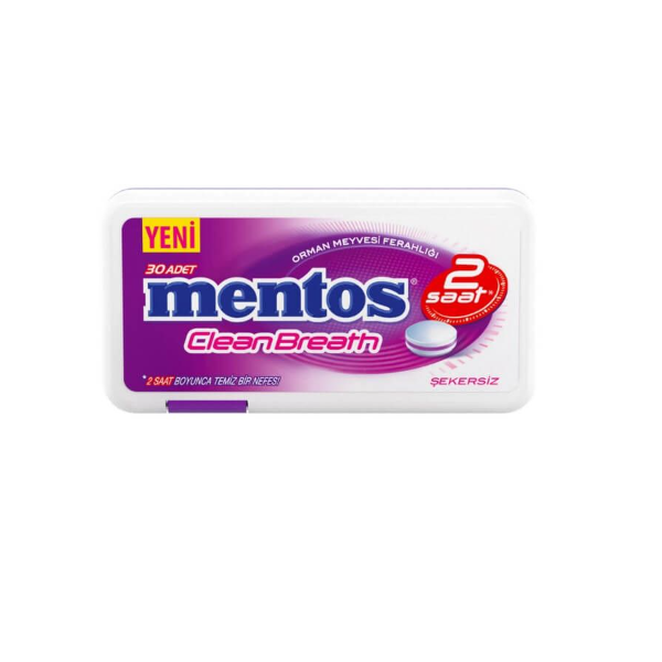 Mentos Clean Breath Fruit Candy Gum 21g