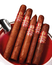 Plasencia Reserva 1898 Sampler 5 Cigars (Full Box) - Shams Shopping Centre Plasencia  