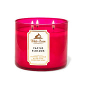 BBW White Barn Cactus Blossom Scented Candle 411g - Shams Shopping Centre Bath & Body Works  