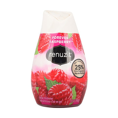 renuzit-pure-forever-rasberry-air-freshner-198g