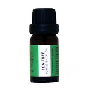 Aura Tea Tree Pure Essential Oil 10ml - Shams Shopping Centre Aura Craft  